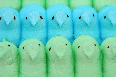 Peeps Blue Marshmallow Chicks - FragFuel
