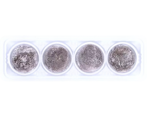 Royal Family Mini Tiramisu e Cream Mochi