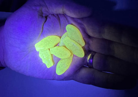 Swedish Fish Mini Glow Ups