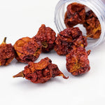 Carolina Reaper Pepper (O Mais Picante do Mundo) - FragFuel