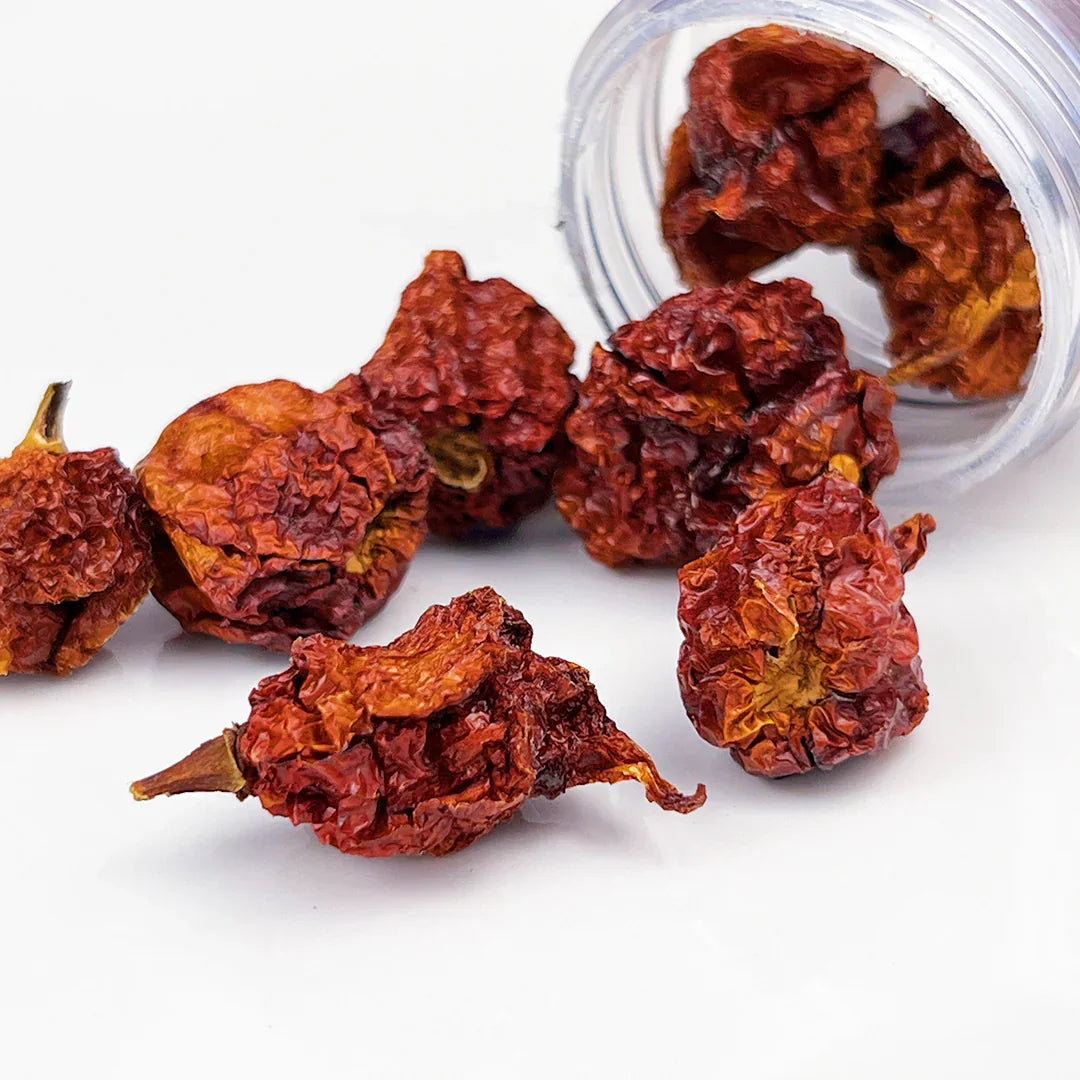 Carolina Reaper Pepper (O Mais Picante do Mundo) - FragFuel