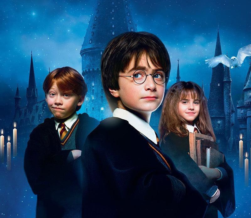Harry Potter Bertie Bott’s Every Flavour Beans Bag - FragFuel