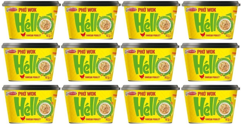 Héllô Pho Wok Chicken (Noodles) - FragFuel