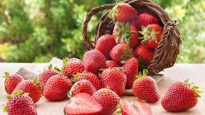 Mogu Mogu Strawberry - FragFuel