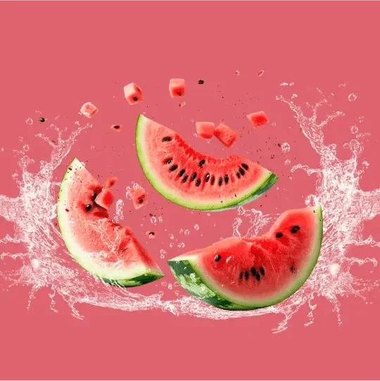 Mogu Mogu Watermelon - FragFuel
