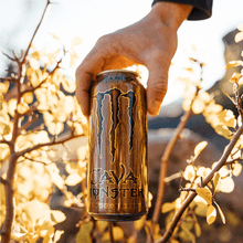 Monster Energy Java Salted Caramel - FragFuel