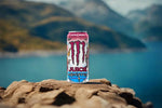 Monster Energy Viking Berry - FragFuel