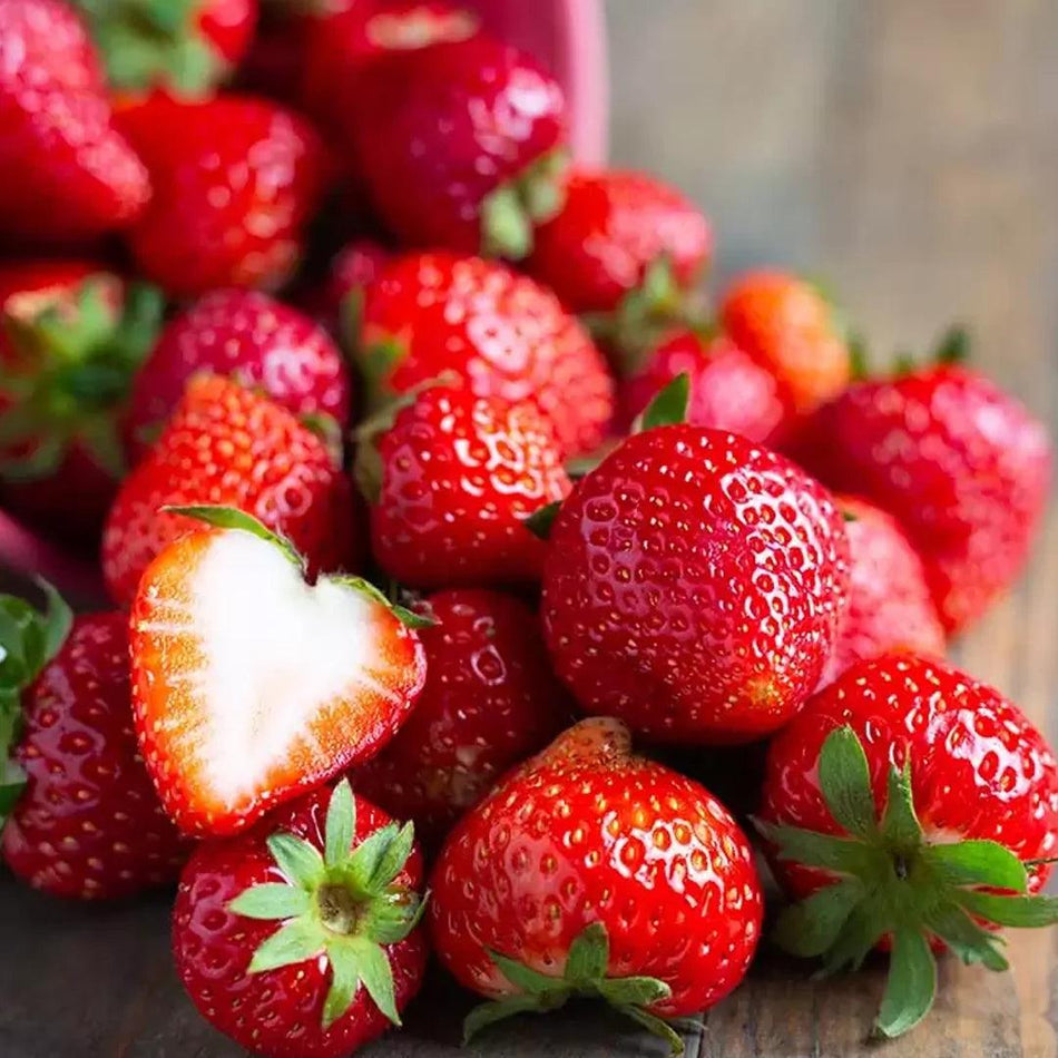Pudding Strawberry