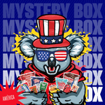 Mystery Box - America 🇺🇸🌎 - FragFuel