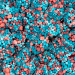 Nerds Gummy Clusters Berries BIG - FragFuel