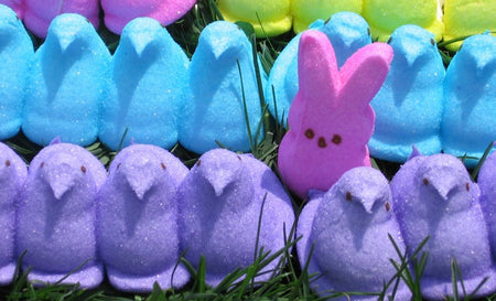 Peeps Blue Marshmallow Chicks - FragFuel