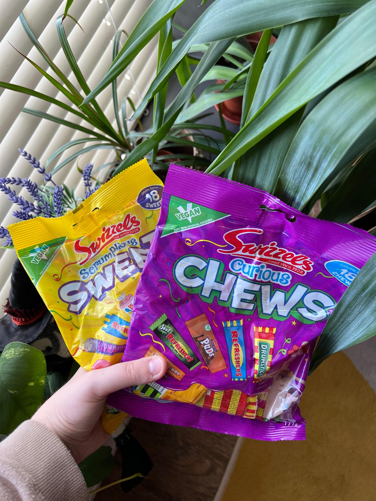 Swizzels Curious Chews - FragFuel